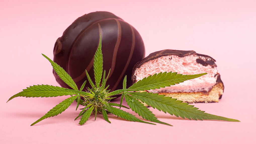 medical chocolate sweets with THC. chocolate marshmallows and cannabis bud on a pink background.